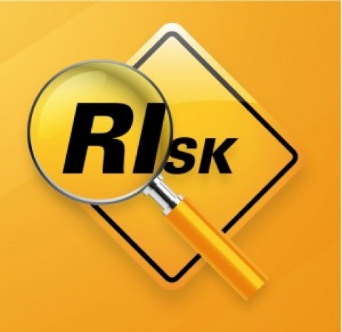 A New Renaissance in Risk Management